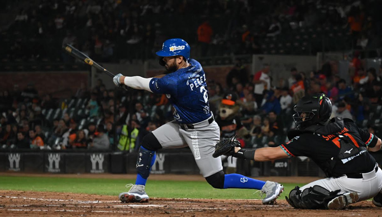 Liga Mexicana de Beisbol, Sitio Oficial